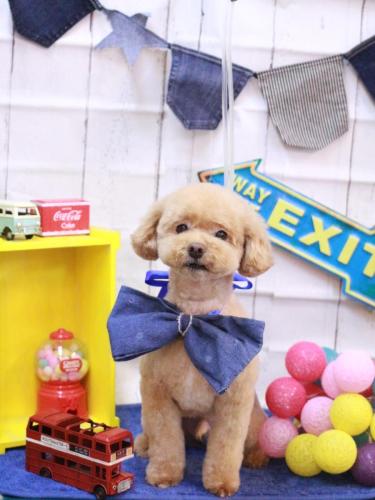 20230411ぽっきーくん